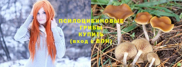 герыч Анжеро-Судженск