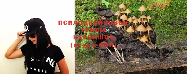 apvp Новозыбков