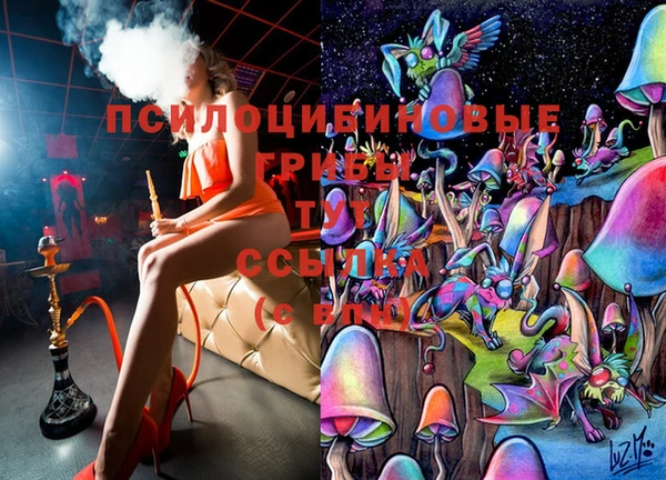 соль ск Нефтекумск
