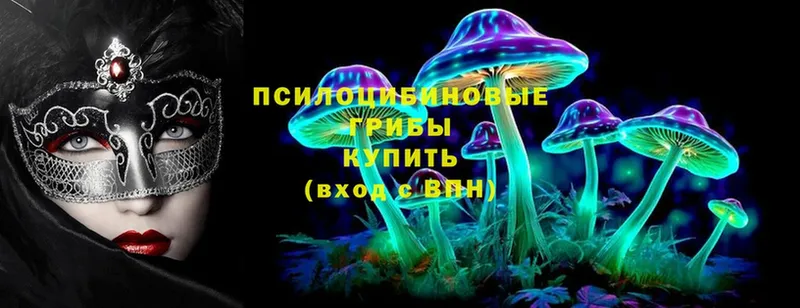 Галлюциногенные грибы MAGIC MUSHROOMS  Константиновск 